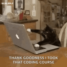 cat coding